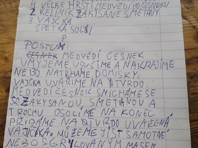 Adélčin salát z medvědího česneku