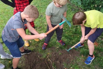 Vyklíčí či nevyklíčí?