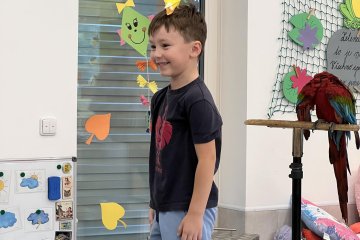 Vystoupení papoušků