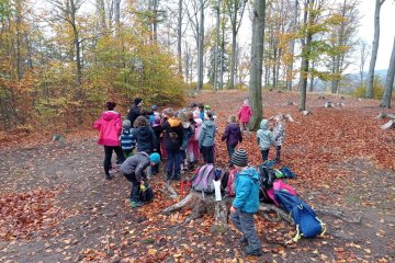 Prázdninová družina