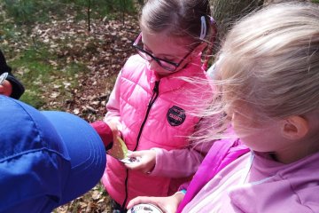 Ve středu jsme si prohráli v lese