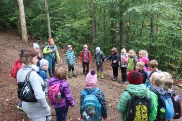 Rok v přírodě - PODZIM