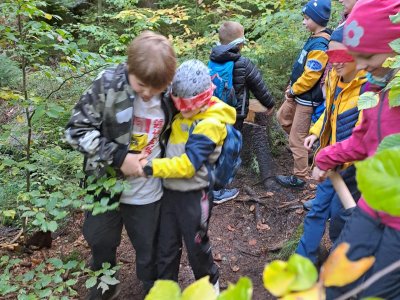 rytíři ztraceni za soumraku v lese