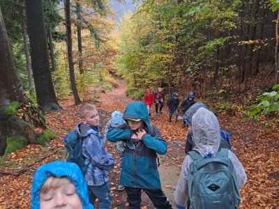 V lese už to bylo lepší.