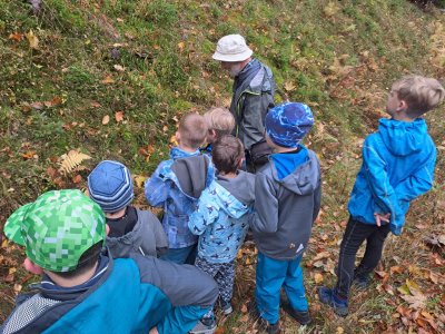 Vzpomínka na doby pravěké.