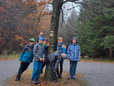 To je ON - červený buk