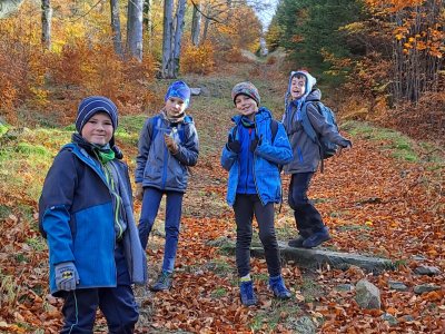 ale vedla až na nejvyšší vrchol