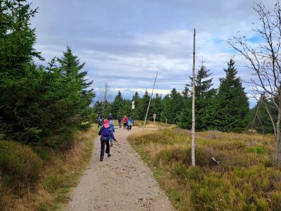 Cesta ze Smrku domů.