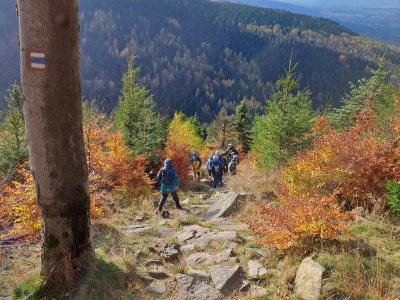 Nádherné barvy podzimních jizerských buků.