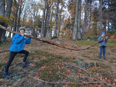 Sběr spadaných větví.