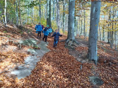 Cesta na vlak do Bílého Potoka.