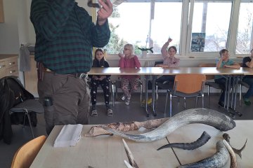 Sovy, dravci; zobáky; a spousty zajímavostí ze světa zvířat (14. 2. 2024)