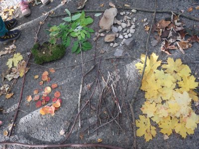 Jaké příchutě to asi budou?