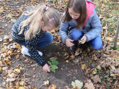 Sára a Viki začínají