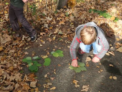 Tom a Fanda začínají