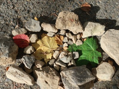 Semafor Natálky a Maxe