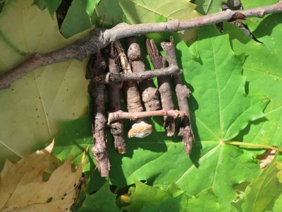 Detail ze Zeleného domu Aničky a Káji