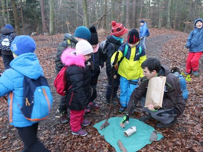 Jaképak tu rostou stromy? Podle kůry se poznávají hůře.