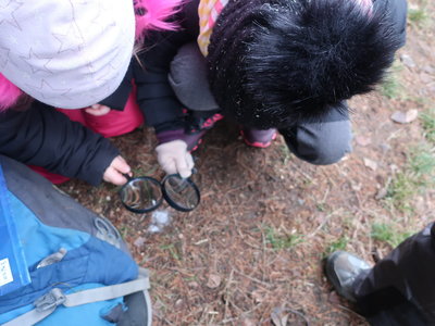 Co udělá sůl s ledem?