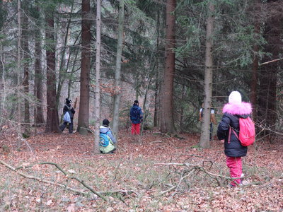 Posloucháme lesní zvířátka.