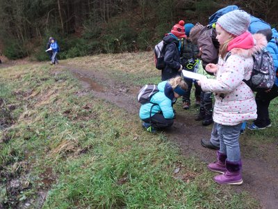 a třeba i vyloupané šišky.