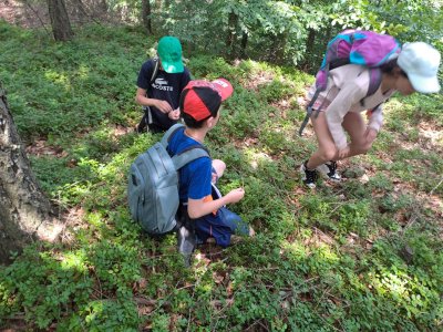 Pasení se v borůvkách