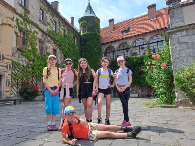 Naše i zámecké růžičky