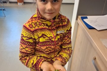 Prosinec v Ostašově