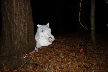 Svatomartinský pochod