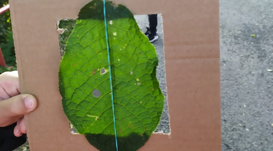 Učíme se osovou souměrnost a zlomky