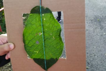 Učíme se osovou souměrnost a zlomky