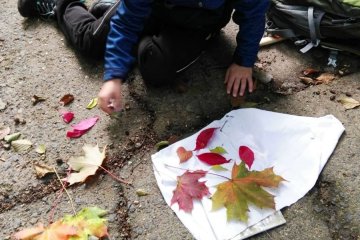 Podzim barví přírodu