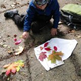 Podzim barví přírodu