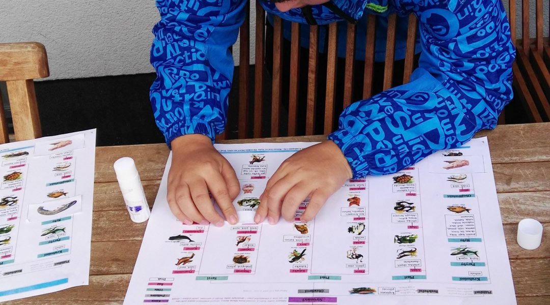 Taxonomie živočichů a taxonomie člověka