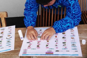 Taxonomie živočichů a taxonomie člověka