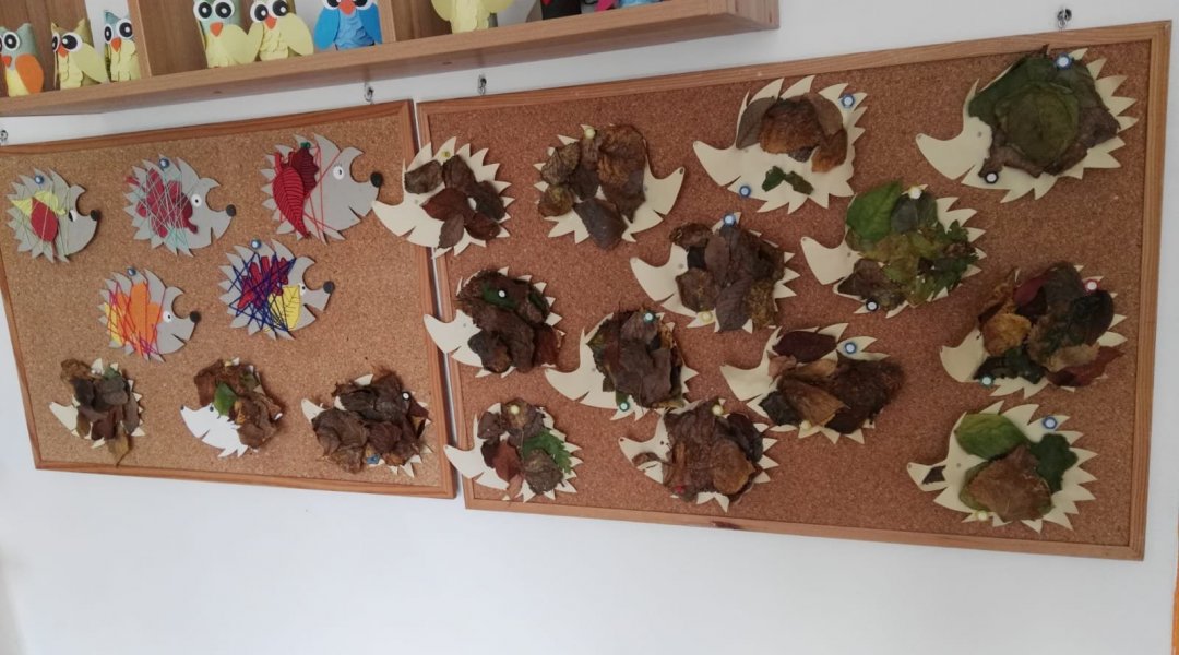 "Ježečci se vyváleli v hromadě listí"