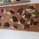 "Ježečci se vyváleli v hromadě listí"