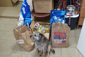 Vaše dárky dorazily