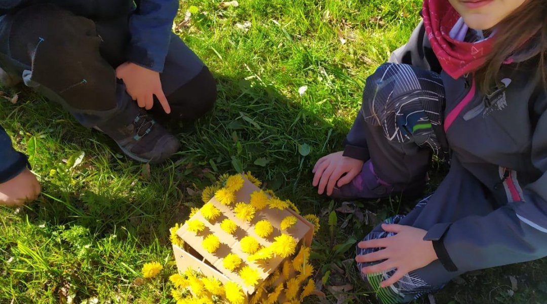 Učení venku 26. - 30. 4.