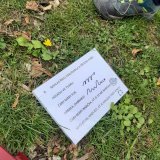 Čarodějnické odpoledne