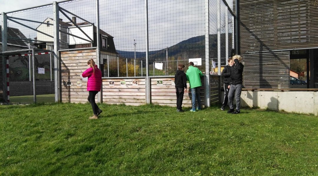 Matematika, dělitelnost