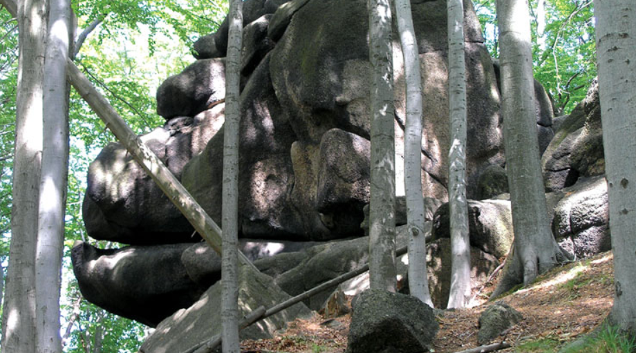 Oldřichovské bučiny