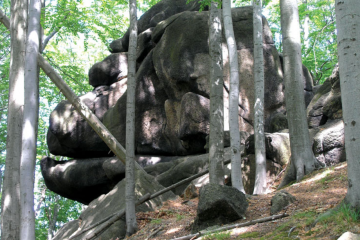 Oldřichovské bučiny