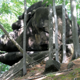 Oldřichovské bučiny