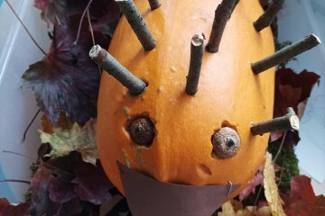 Polytechnická výchova - Ježek