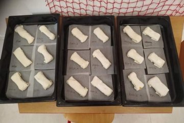 Štrůdličkový den