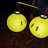 Svatomartinský pochod