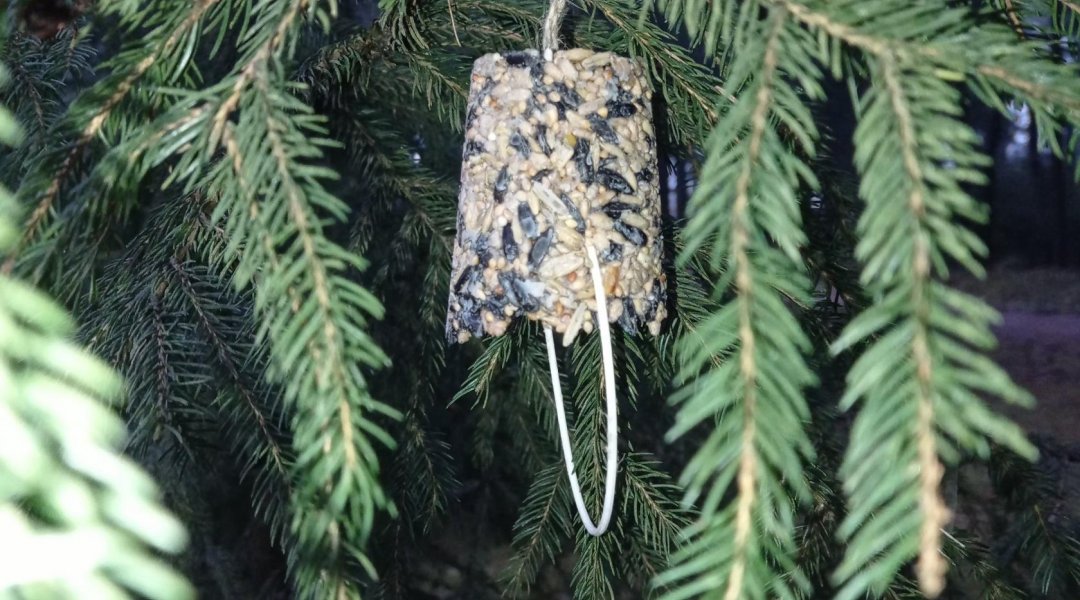 Vánoce v naší třídě