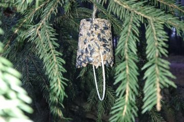 Vánoce v naší třídě