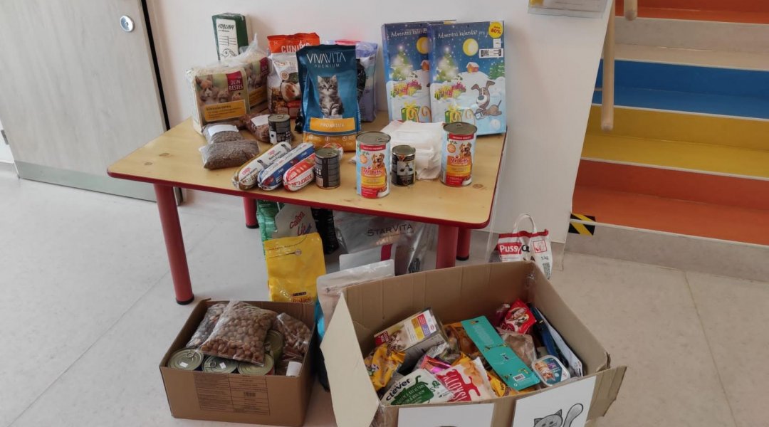 Sbírka pro útulek Archa